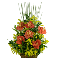Rosas Premium Mescladas