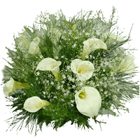 Bouquet de Copos de Leite