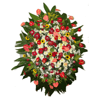 Coroa de Flores Premium