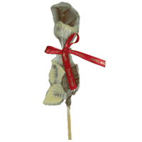 Rosa de chocolate