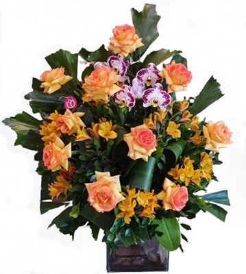 Arranjo select com rosas e com orquídea