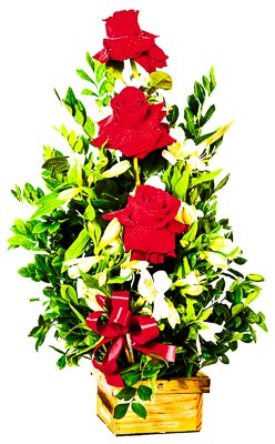 Arranjo de Rosas Colombianas