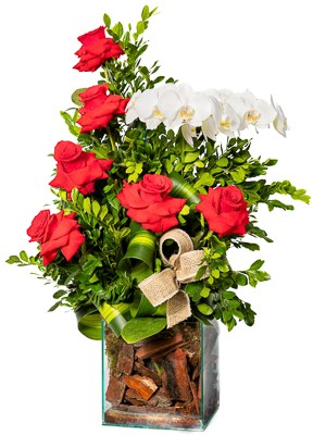 Arranjo Prime com 6 Rosas Colombianas e Orquídea