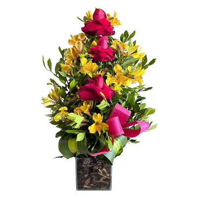 Rosas Colombianas Especial