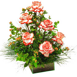 Rosas Amor
