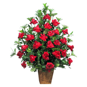 Arranjo 30 Rosas Colombianas
