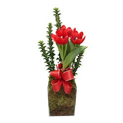 Arranjo Tulipa Premium Vidro